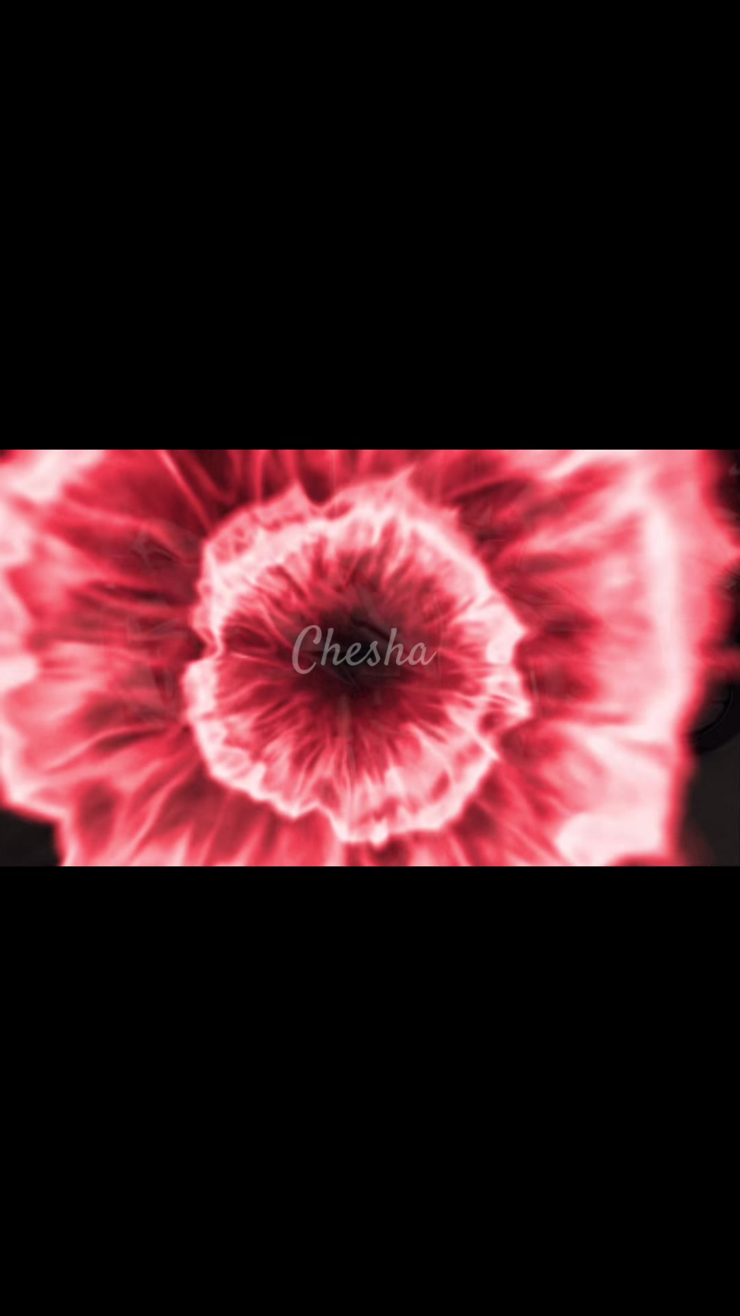 @CheSha