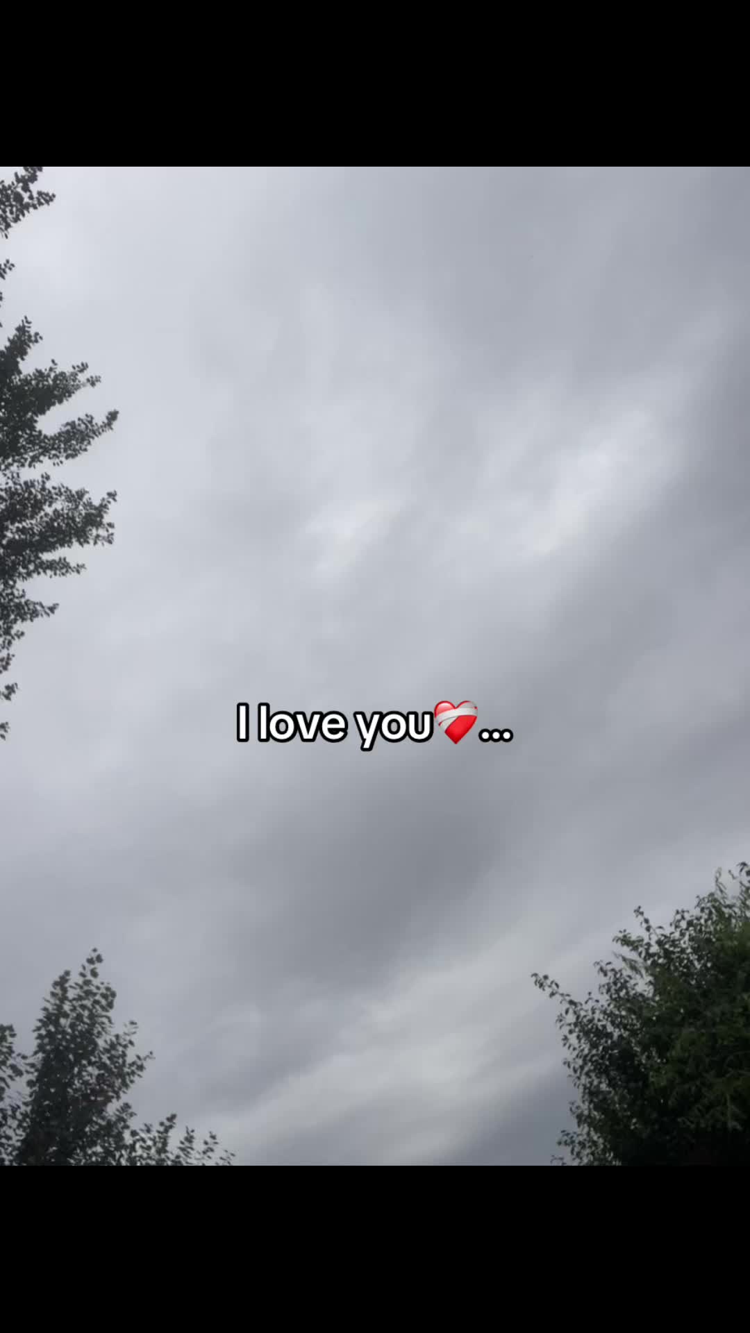 @⚜️Essty_ld⚜️