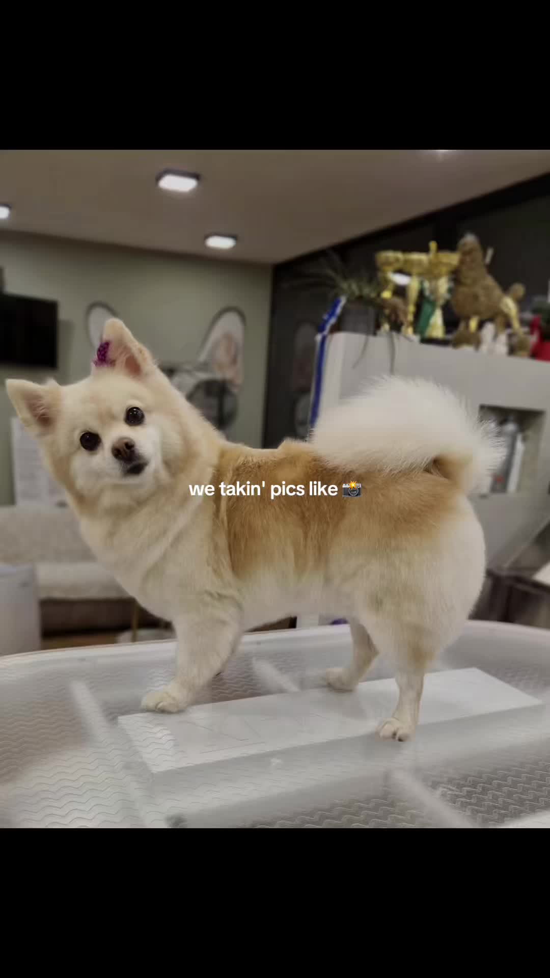 @𝓓𝓸𝓫𝓻𝓸𝓶𝓲𝓻𝓪