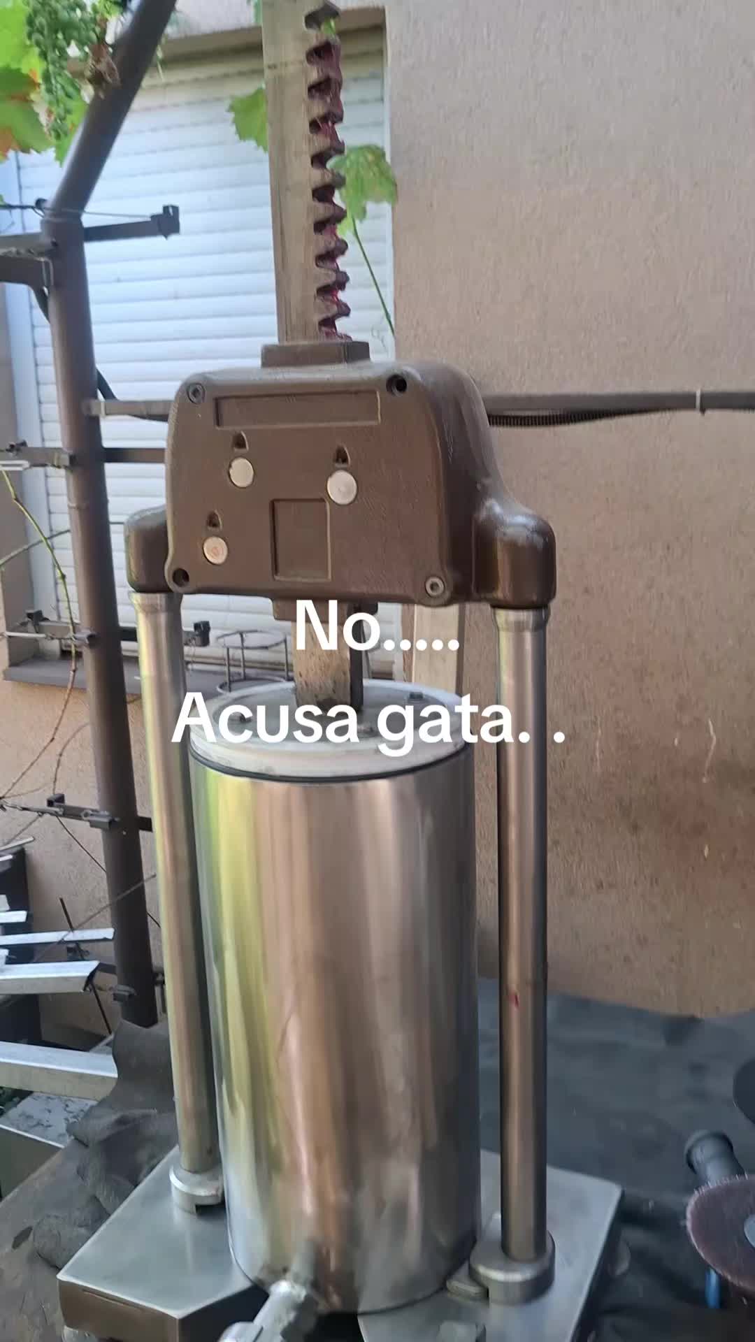 @bebe_matzi