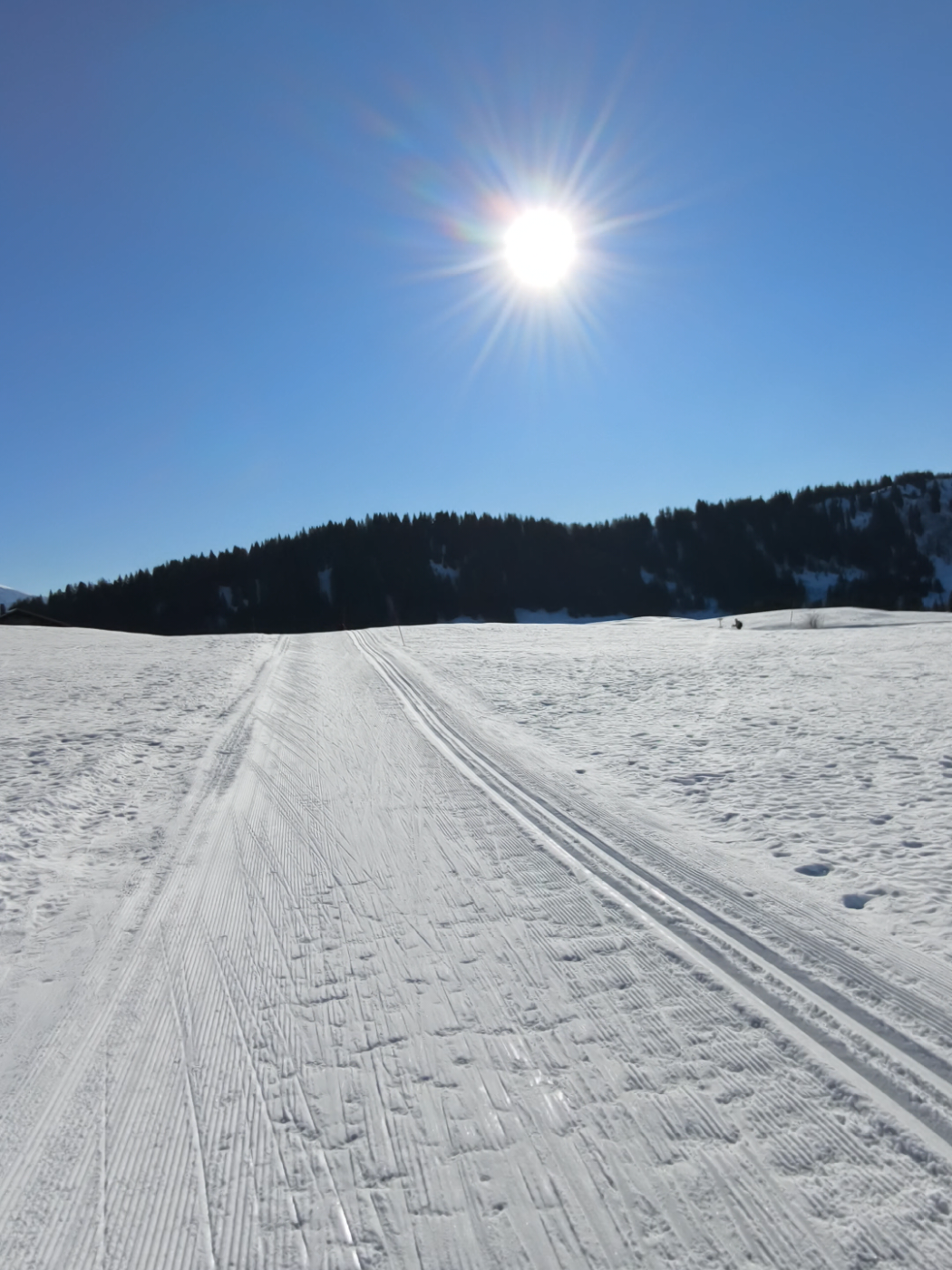 @Vincent des Alpes