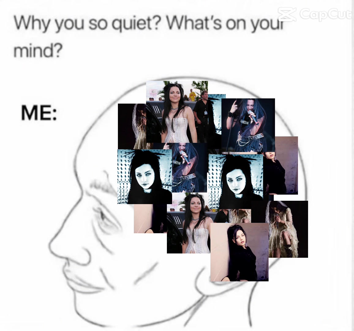 @Amy Lee Universe &bull; Fan Page