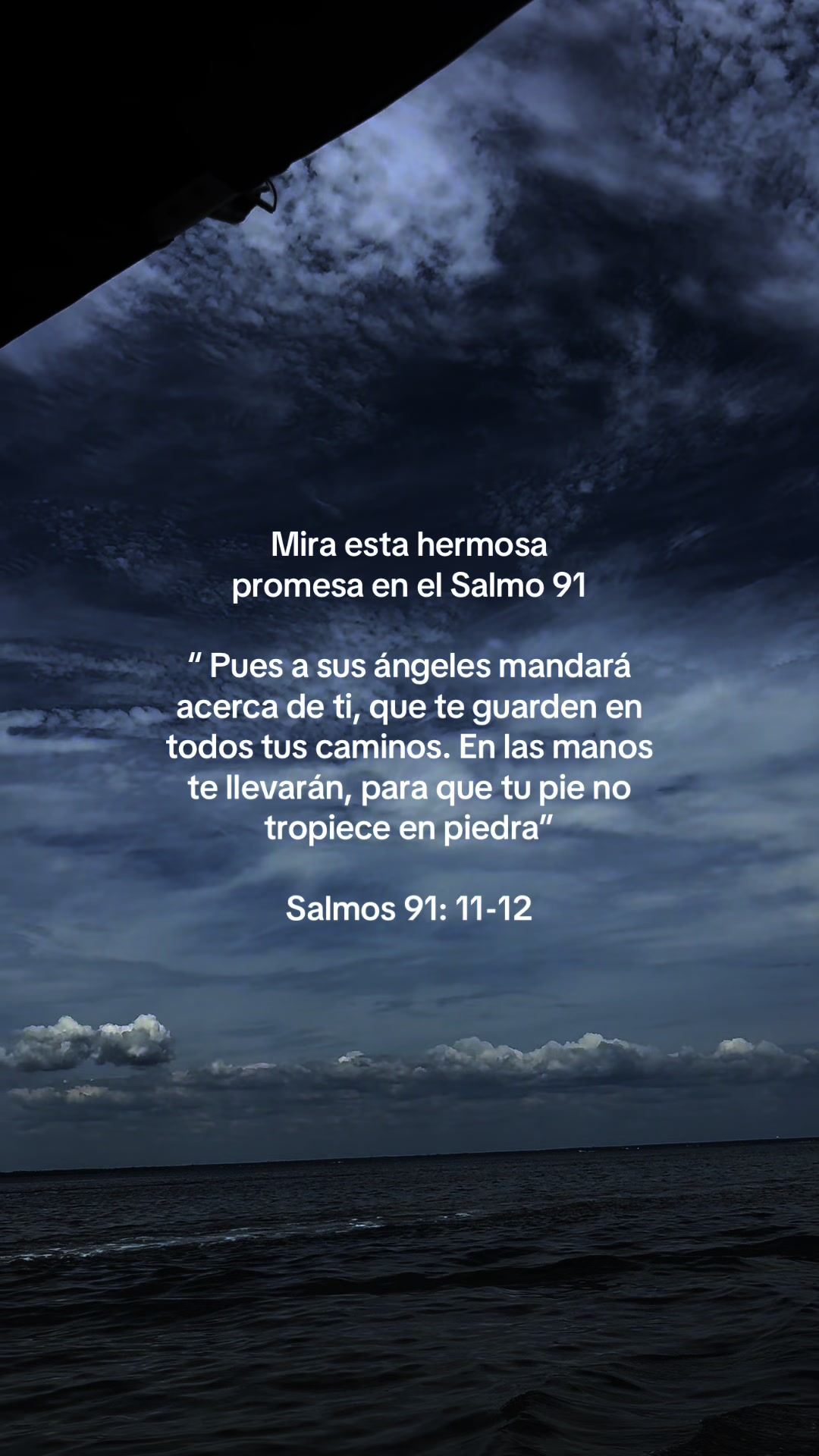 @thaniaSayegh💫frases