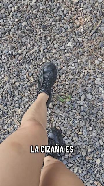 @Isa Jaramillo