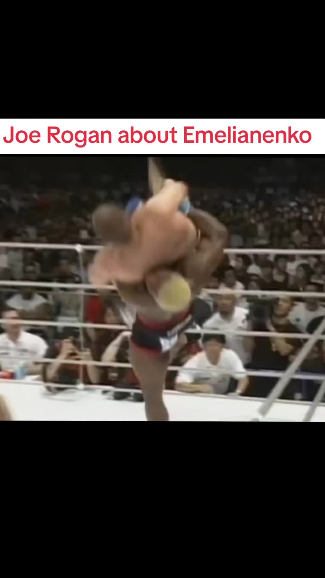 @Fightxgram