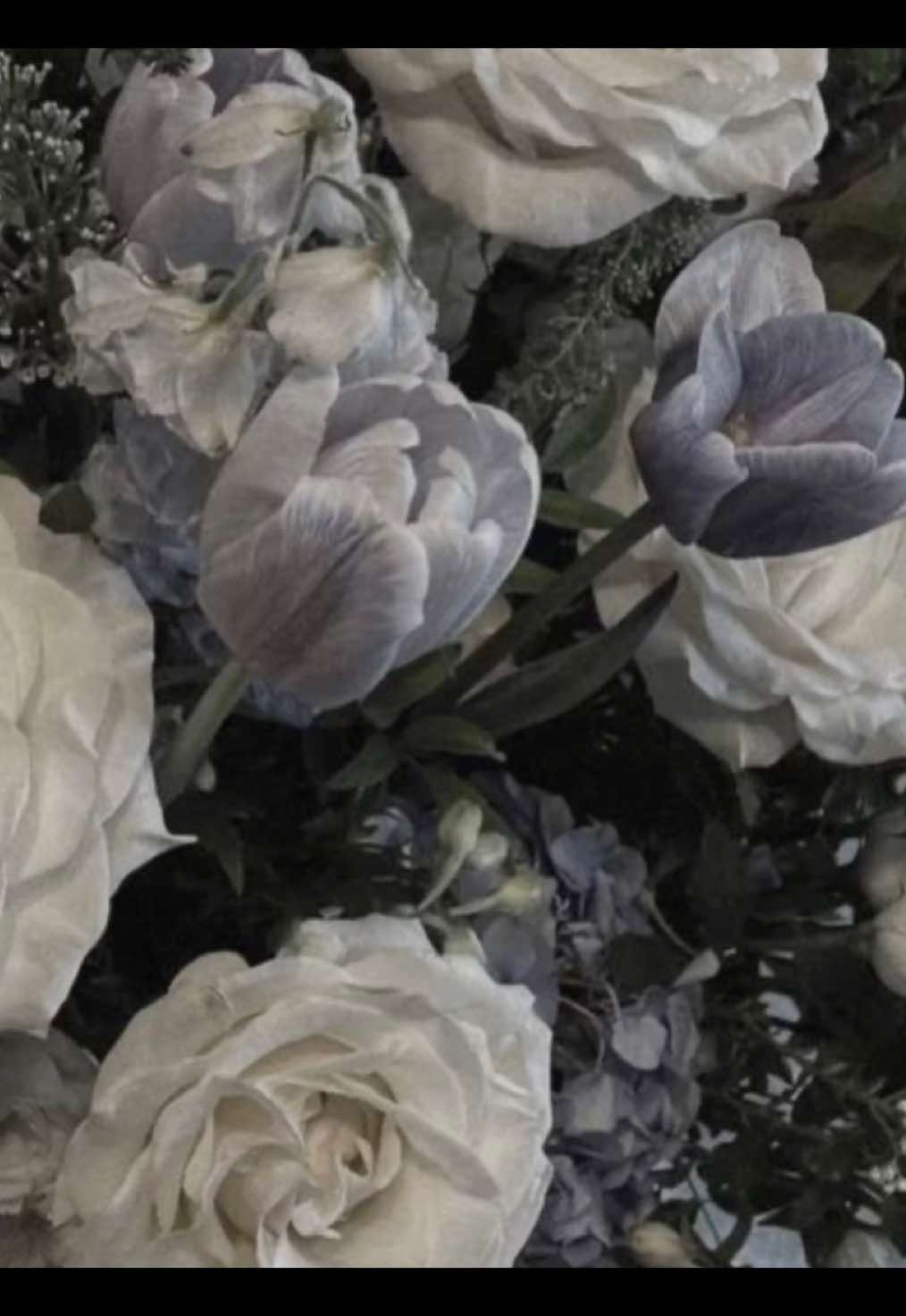 @đŠđđđ¸đđśđđđ¤đˇď¸
