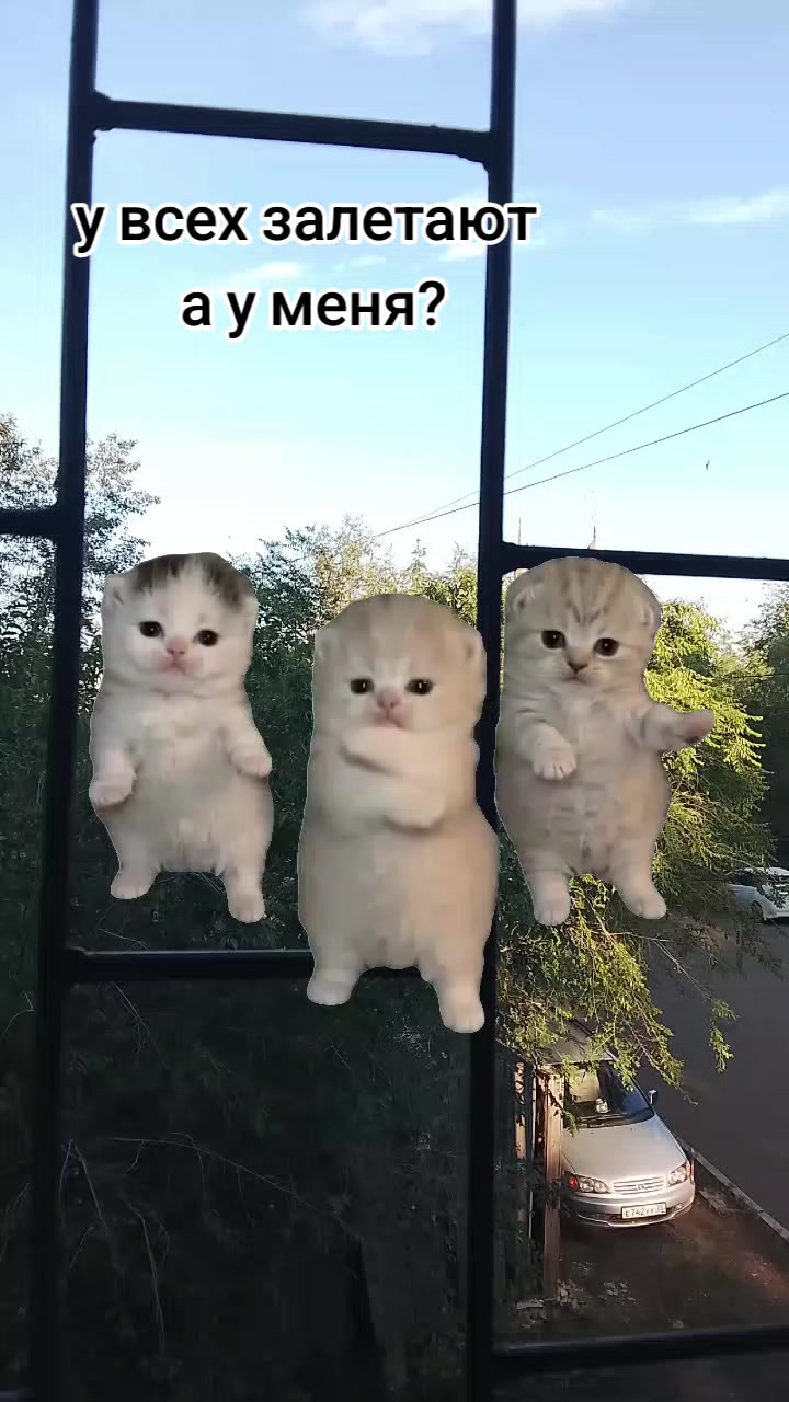 @Katyusha @