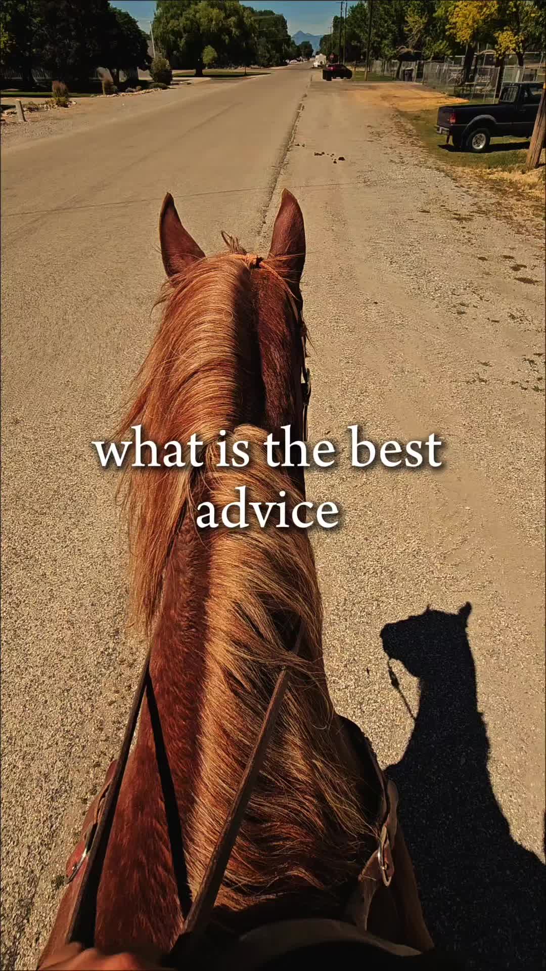 @Love & Loyalty Leathers