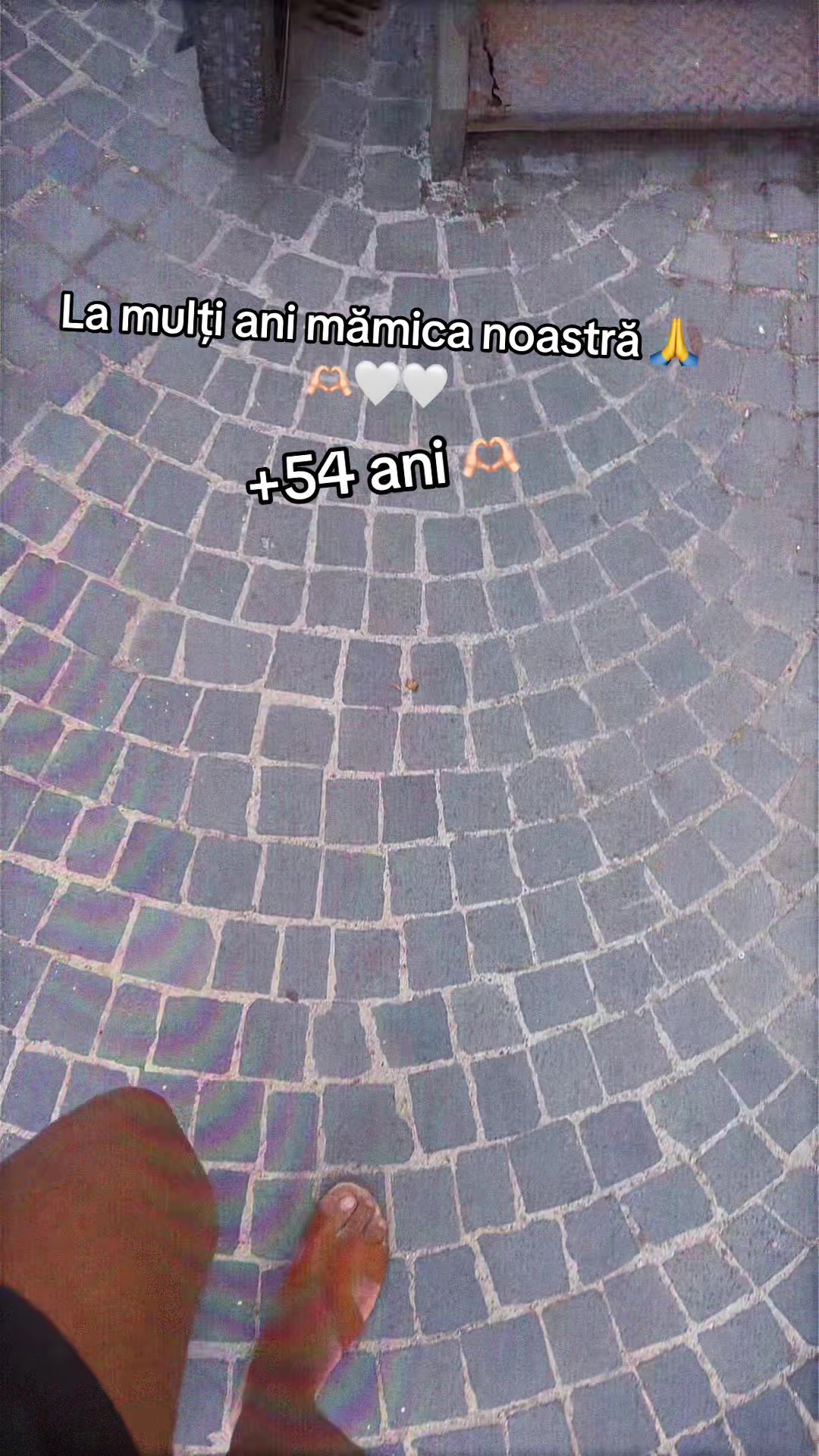 @Claudia voicu