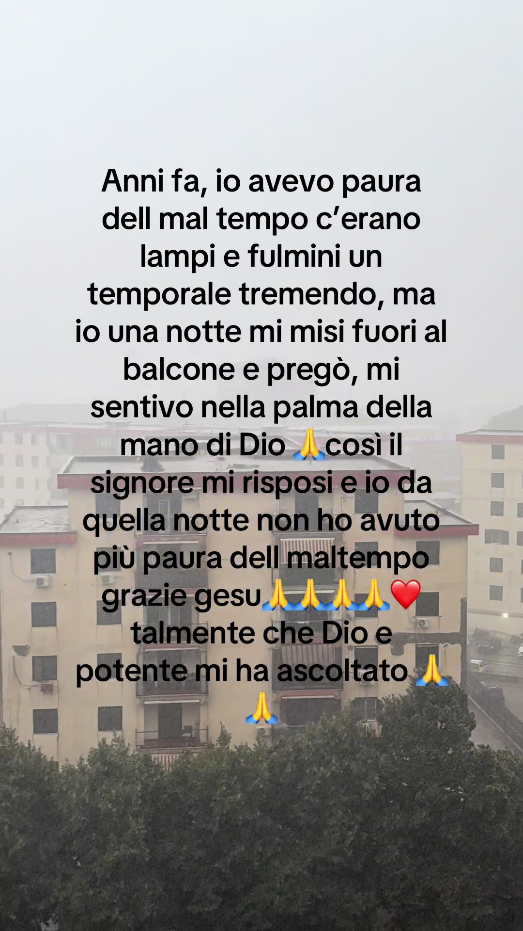 @Patriziagallotta