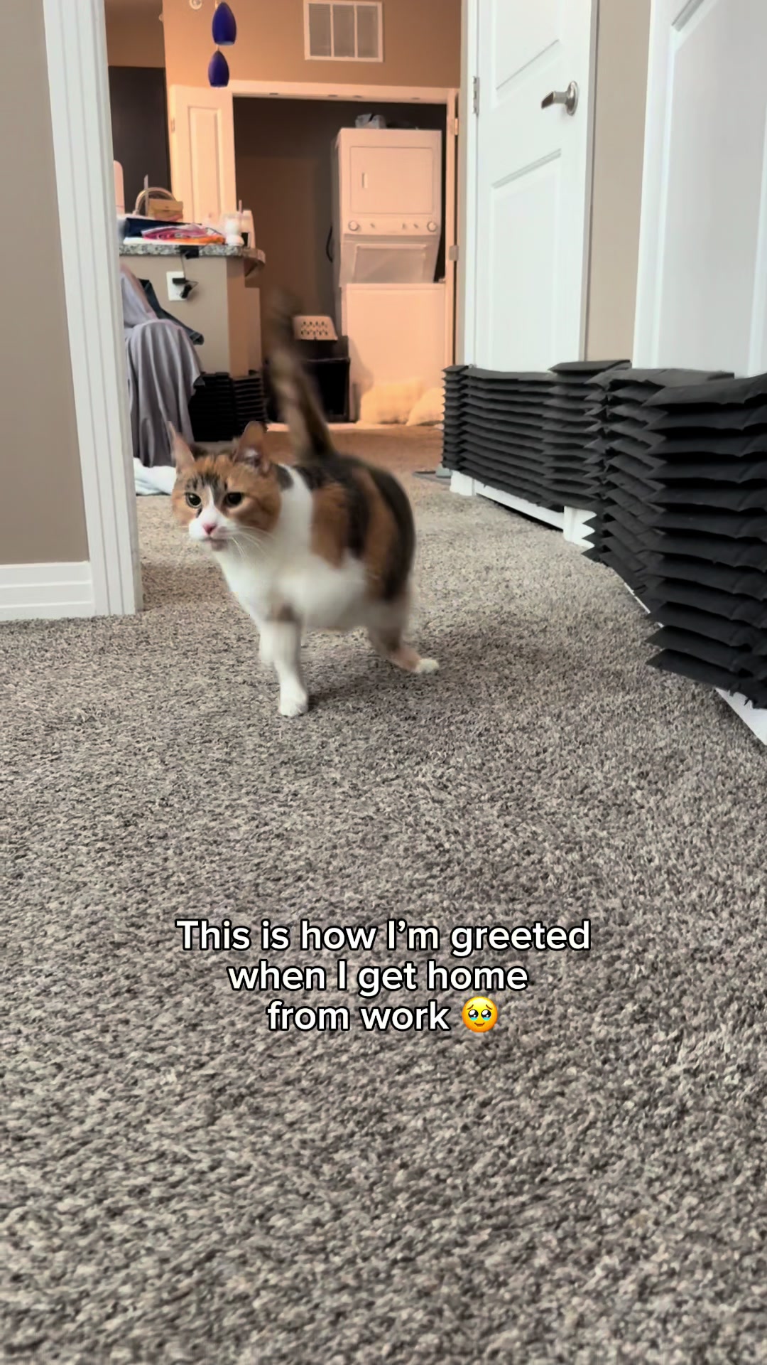 @Ada
