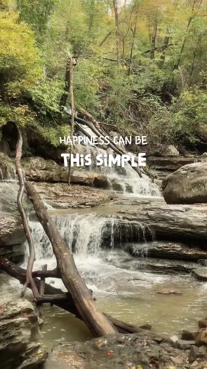 @bransoninabox