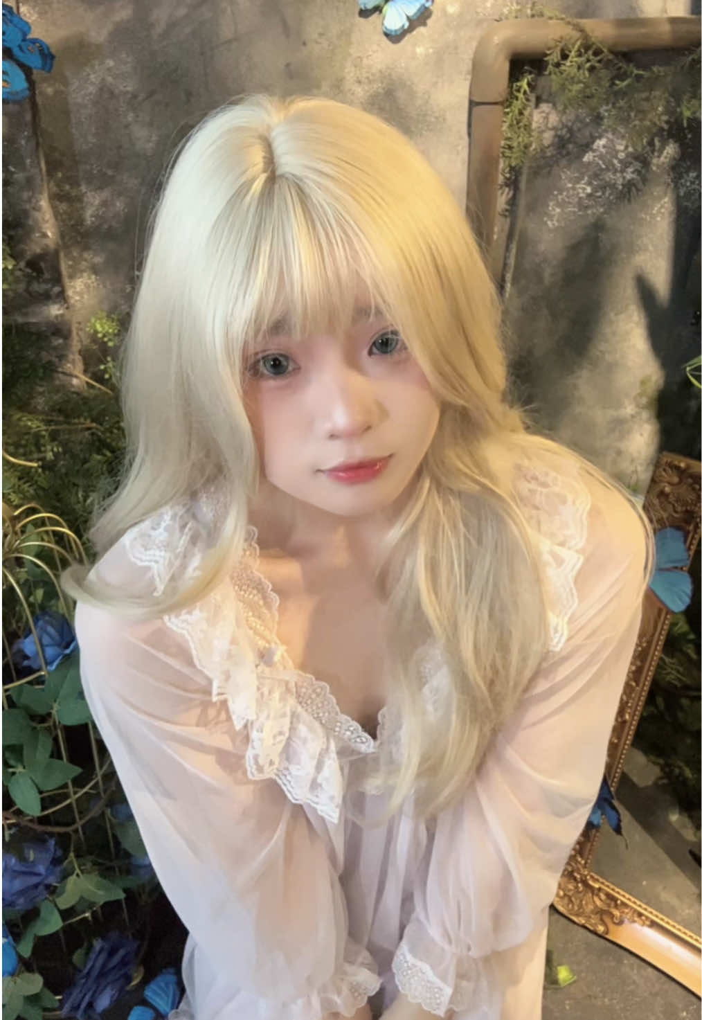 @伍拾叁.