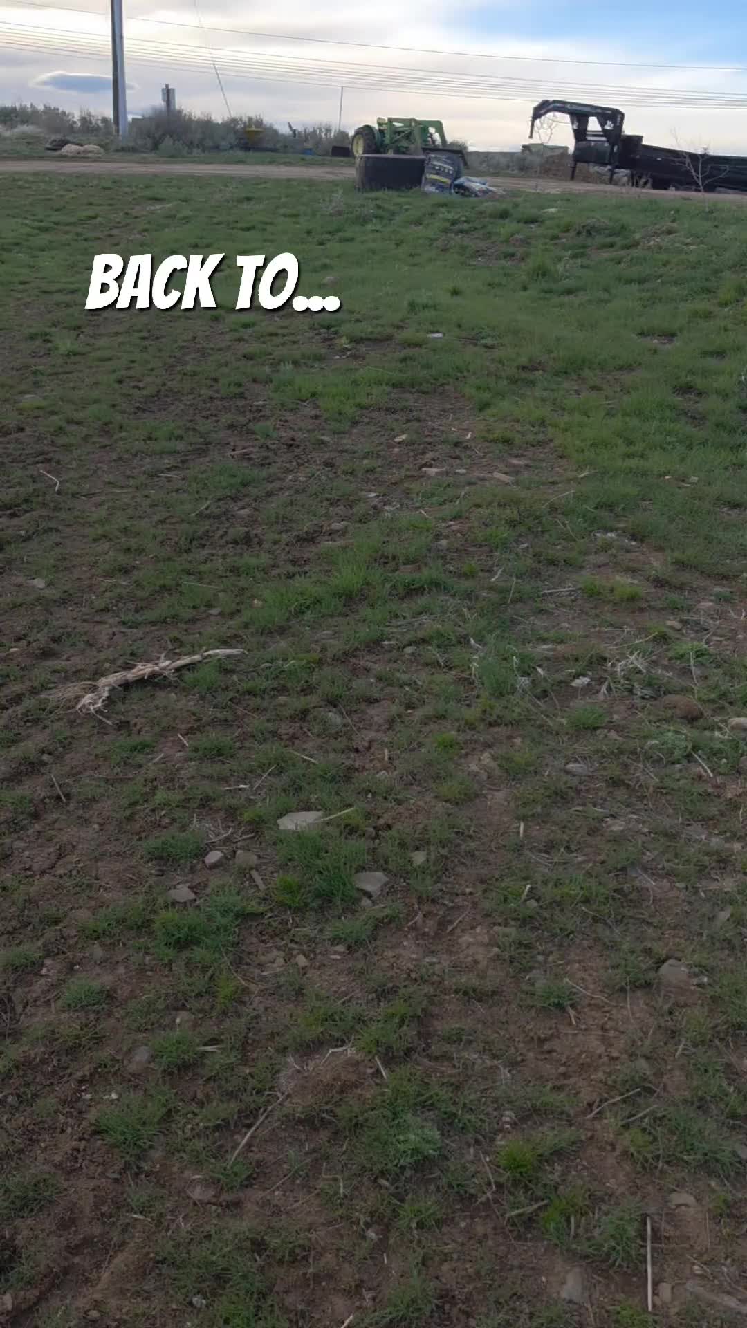 @thebeardedfamily1