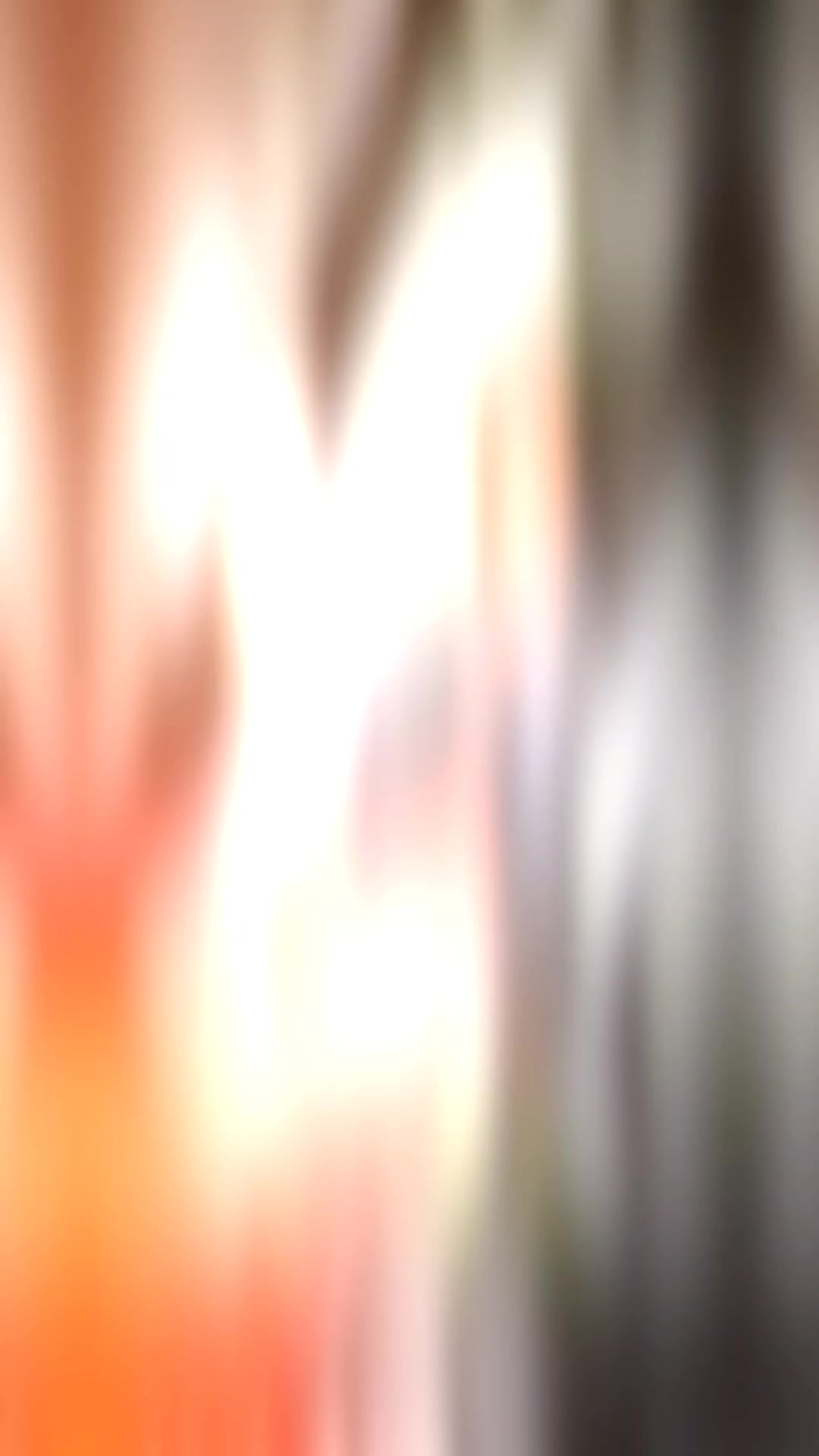 @๐๏ธ๐๐ข๐ฅ๐ค๐ฒ ๐๐จ๐ฒ๐