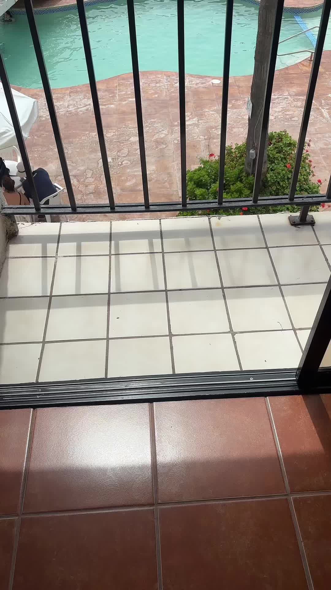@leonorhernandez723