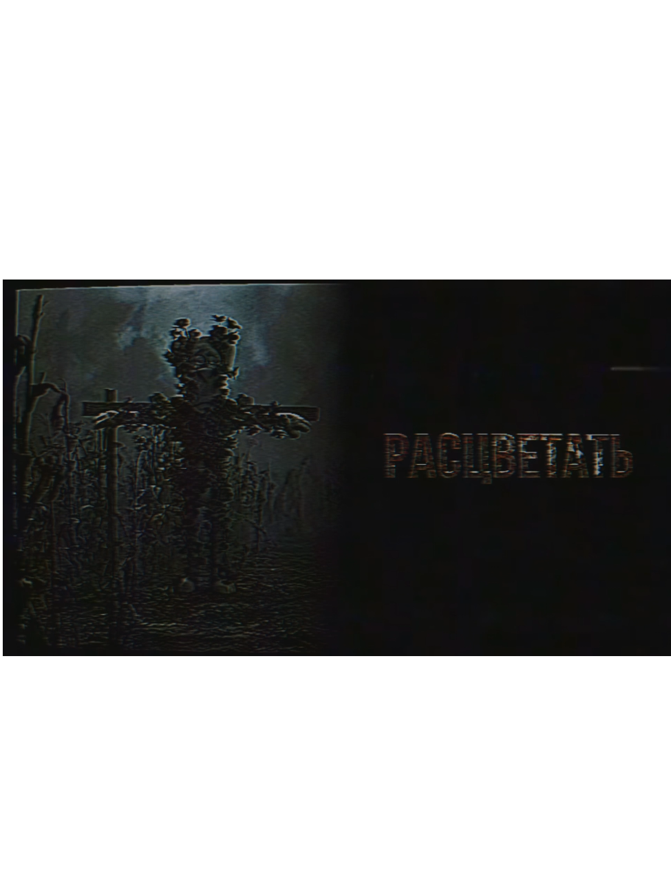 @𝔅𝔞𝔫𝔞𝔫𝔞𝔓𝔯𝔬𝔠𝔥𝔦𝔨👁️