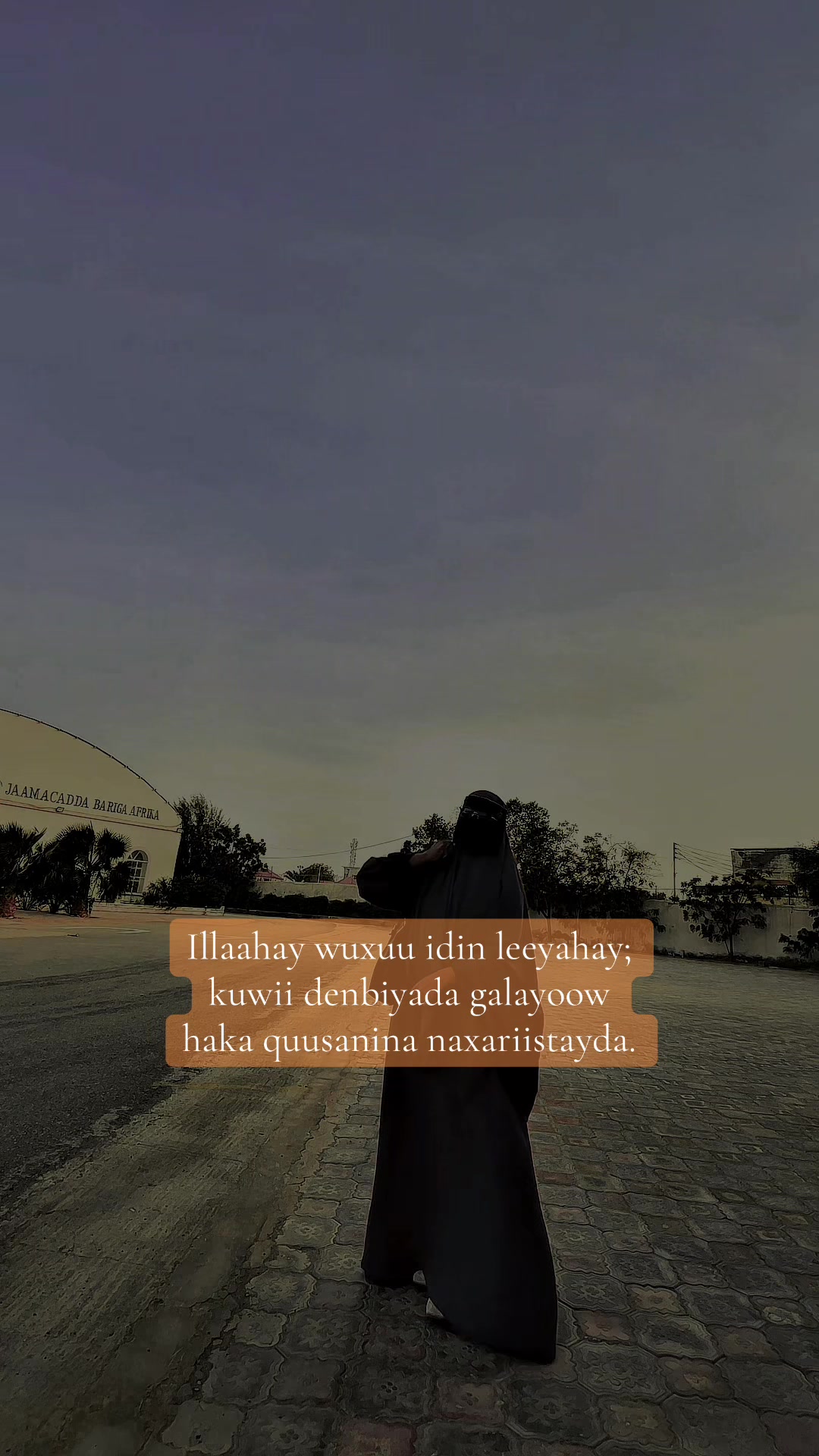 @Arwo~Abshir