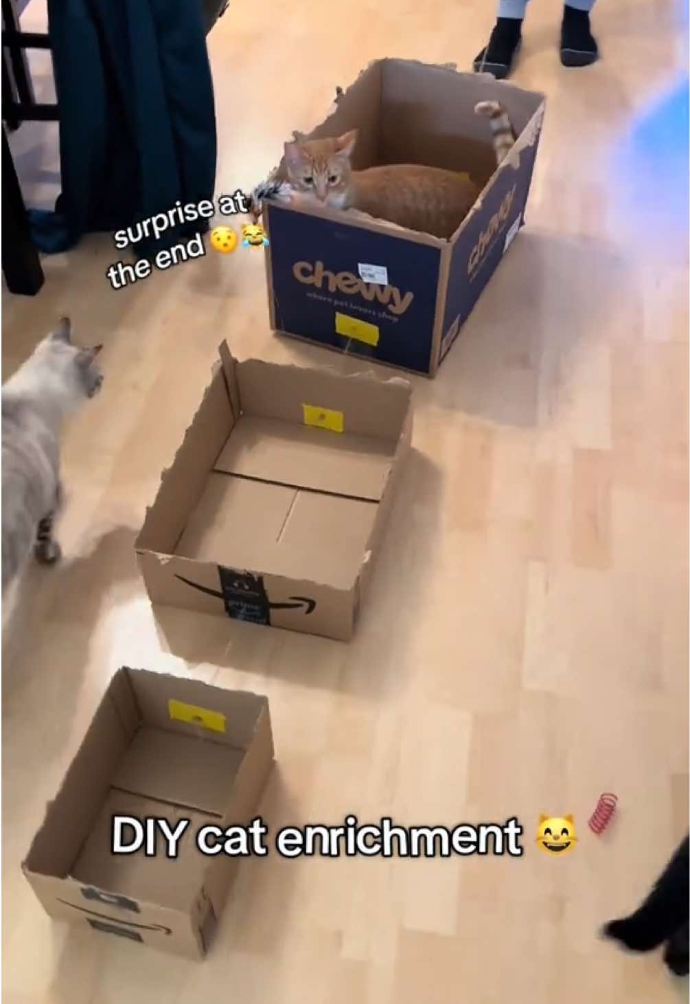 @furtastic4cats