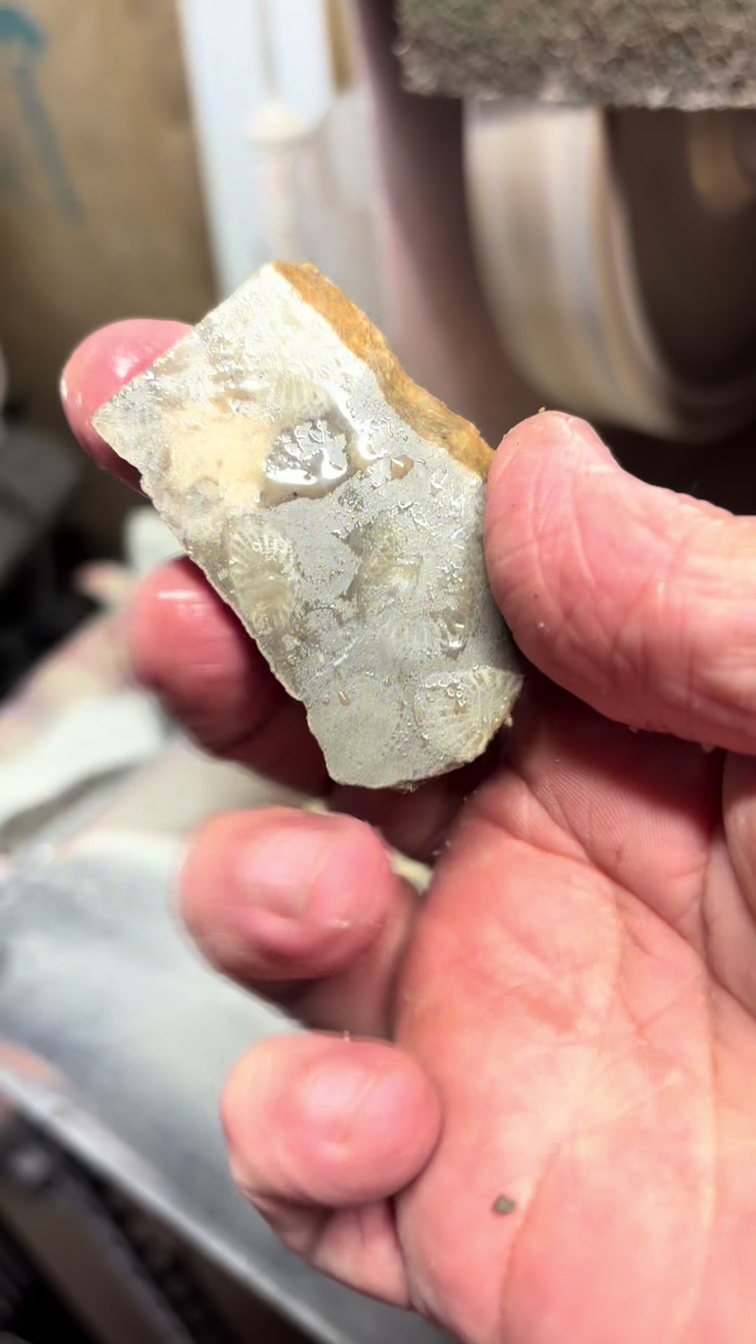 @✝️slytlyflawed lapidary✝️