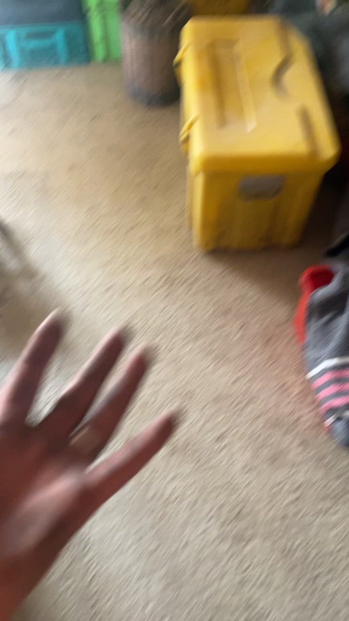 @mayou575