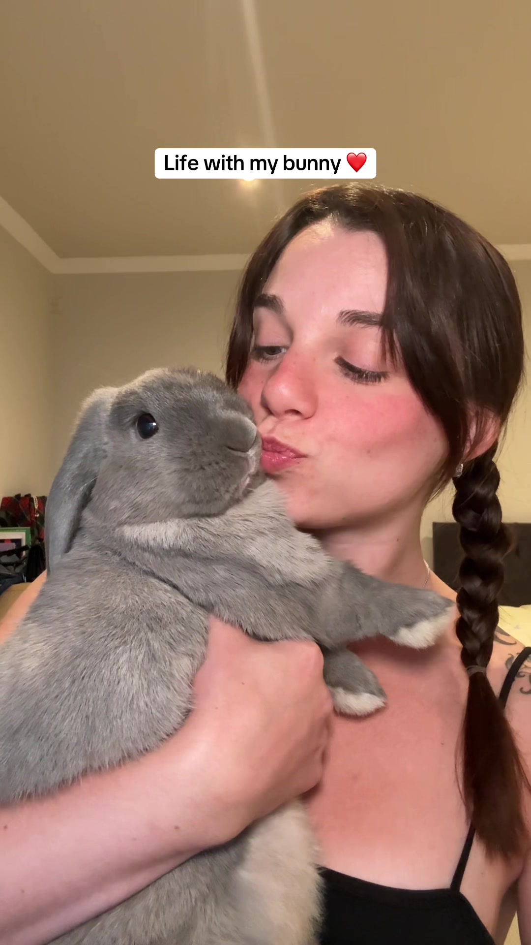 @Buzz the Bunny