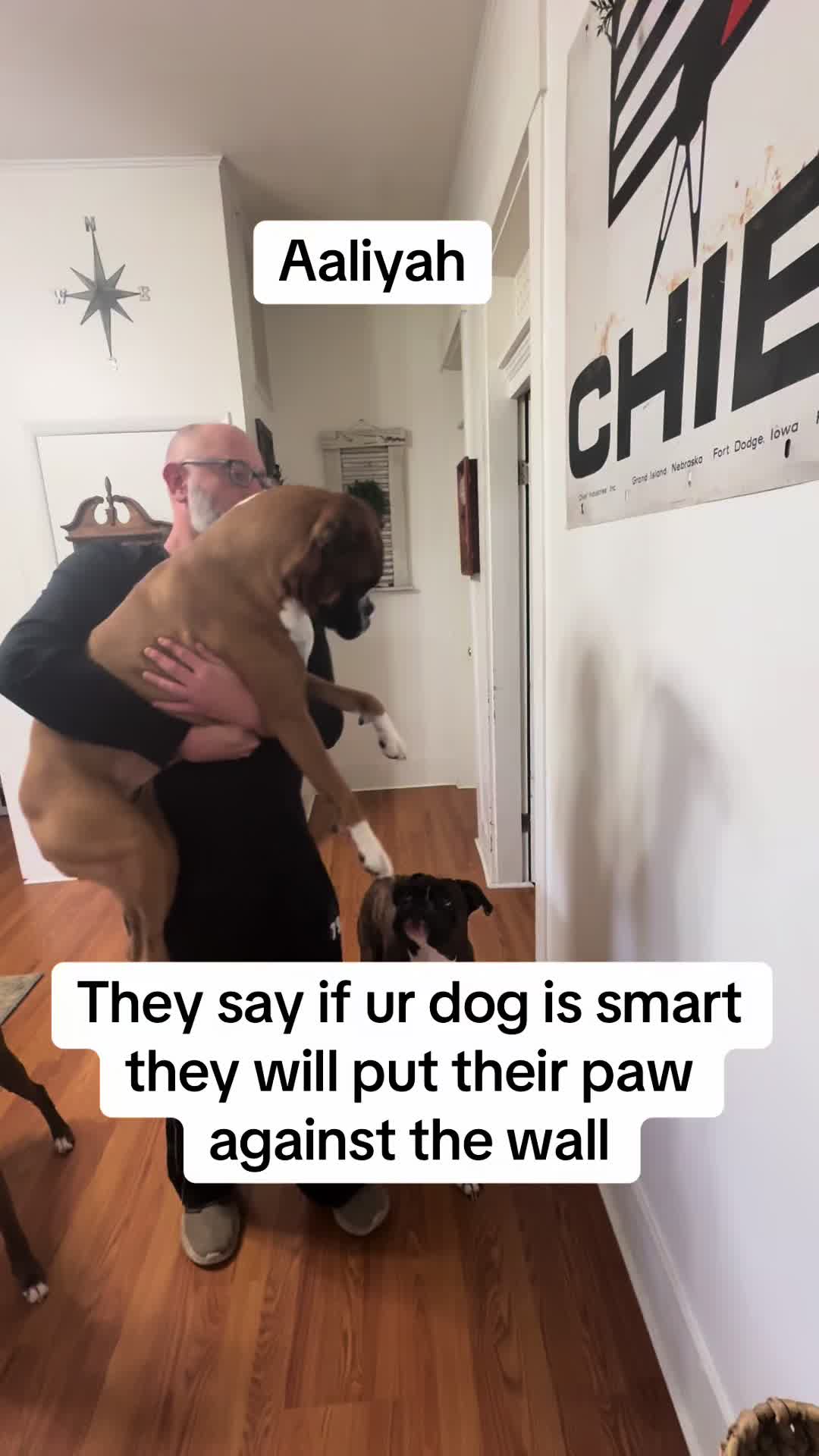 @IndianaBoxerMom
