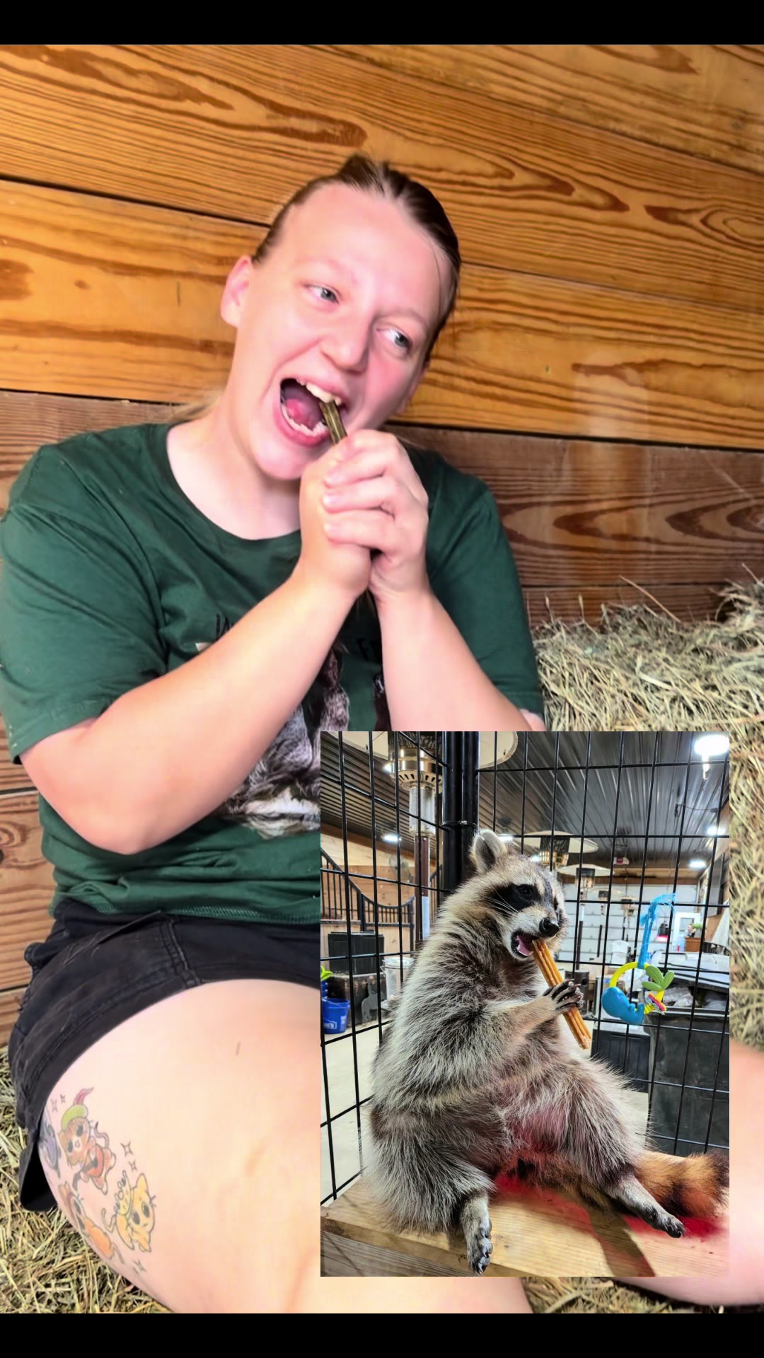 @Westmeister Farm