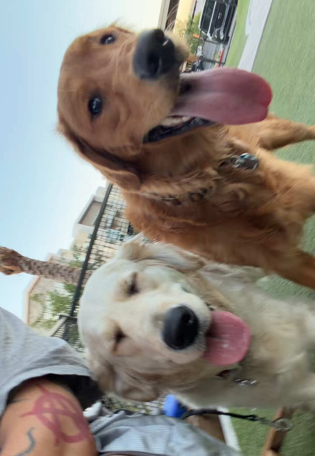 @sethbello
