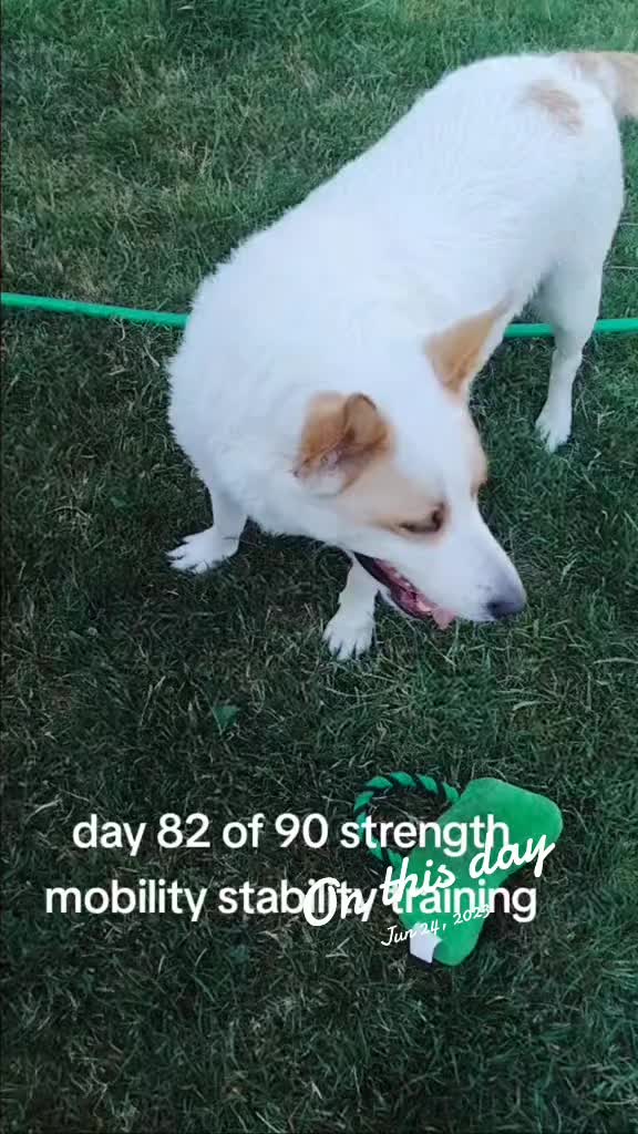 @dannygettingfit