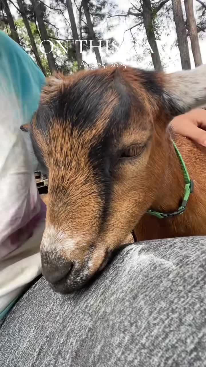 @Sierra_TSWFarms - ๐๐ฅ๐
