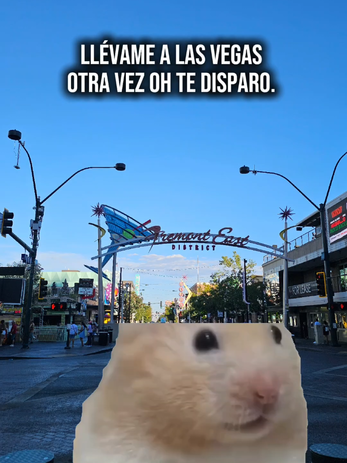 @🦋Dani🦋