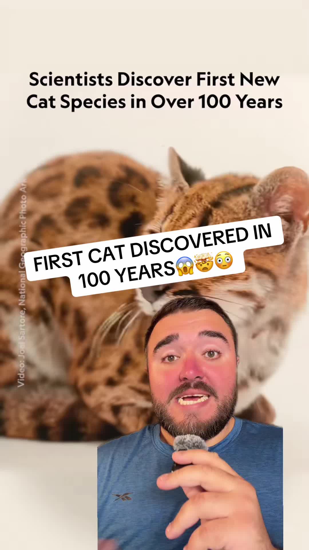 @IvanGtv