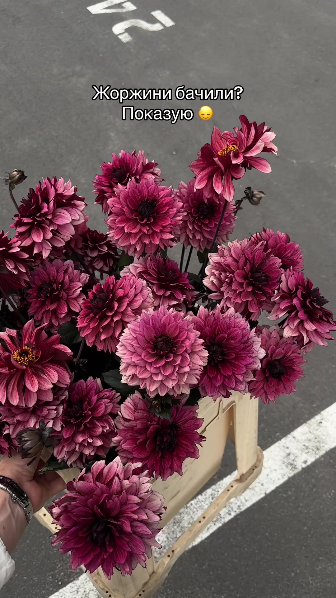 @gardenist.concept