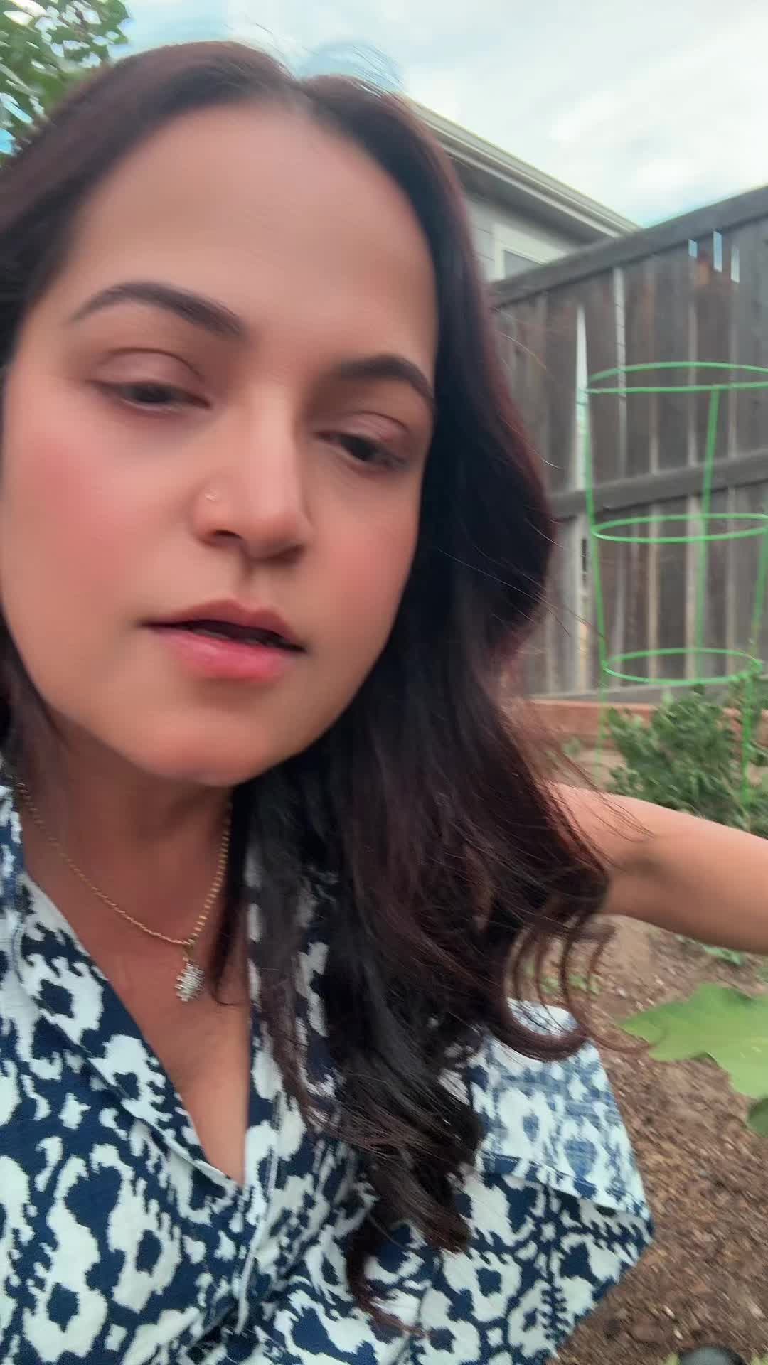 @ramaili_shagun