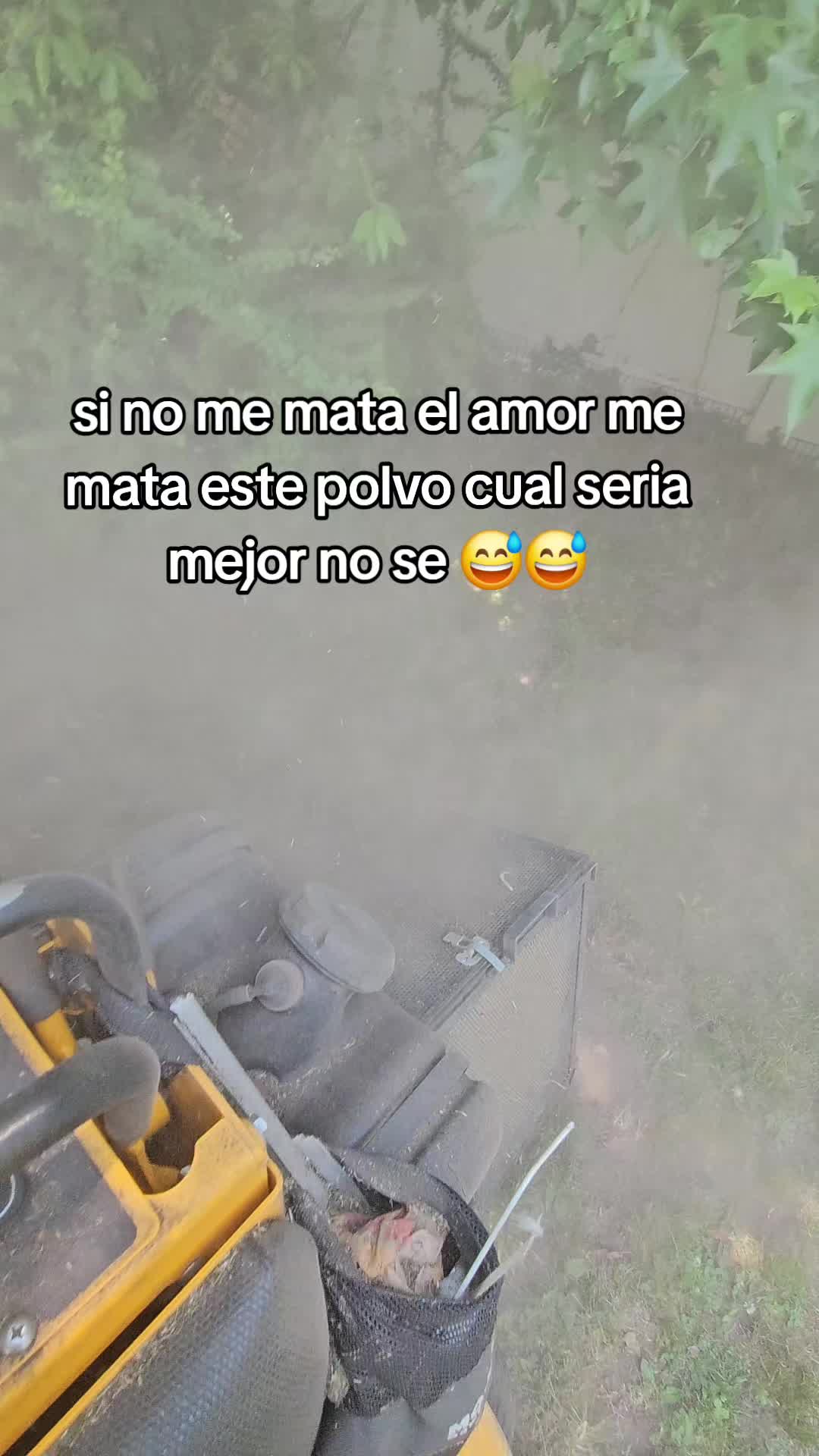 @caracol islen̈o 🇭🇳🇩🇴