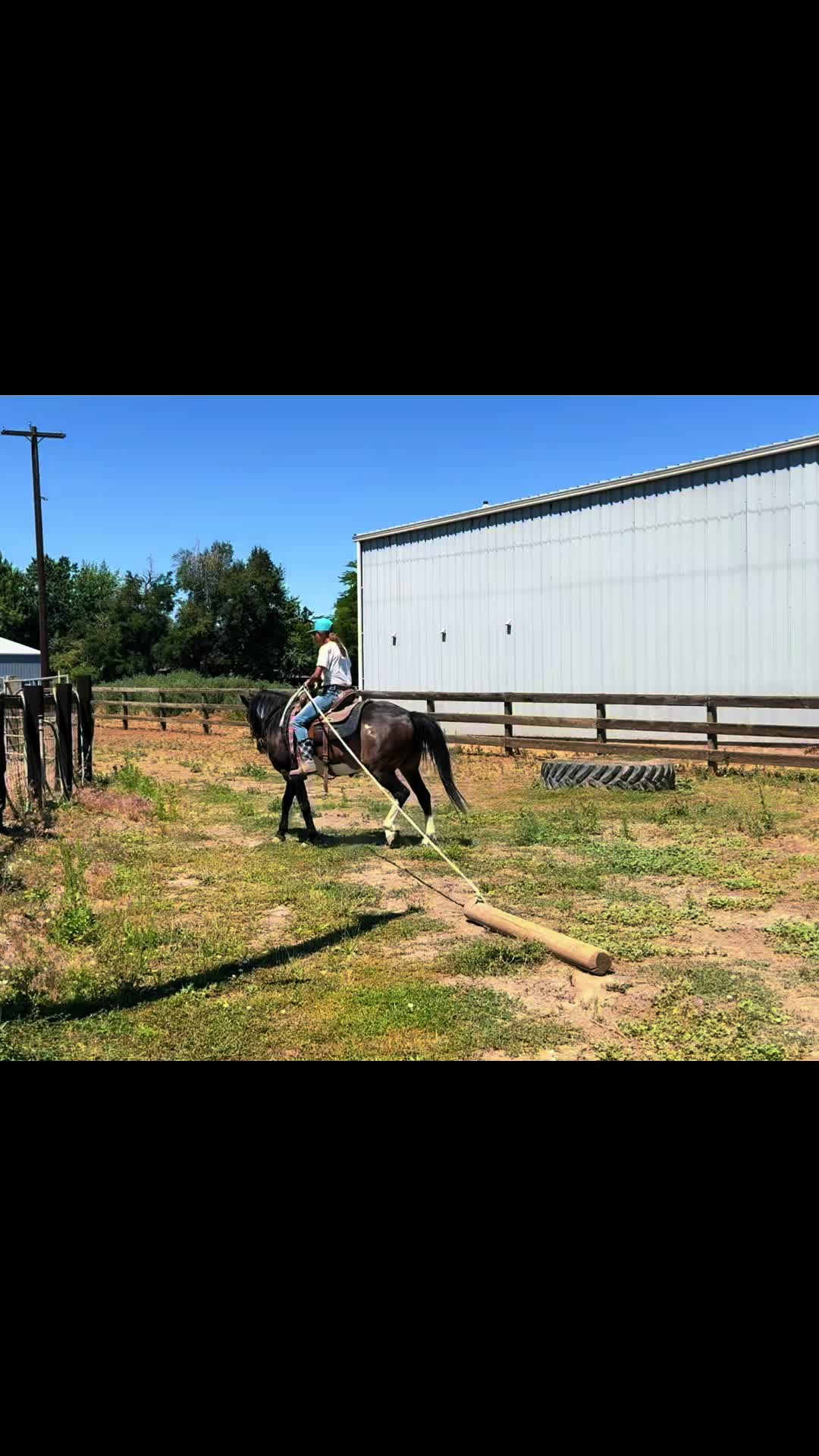 @Cowgirl Tuff Colt Training ❤️