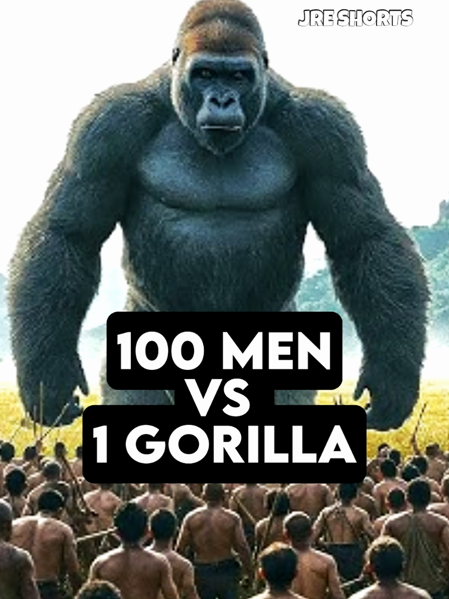 @Joe Rogan Podcast Clips