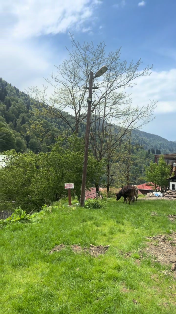 @Hilmi Olgaç