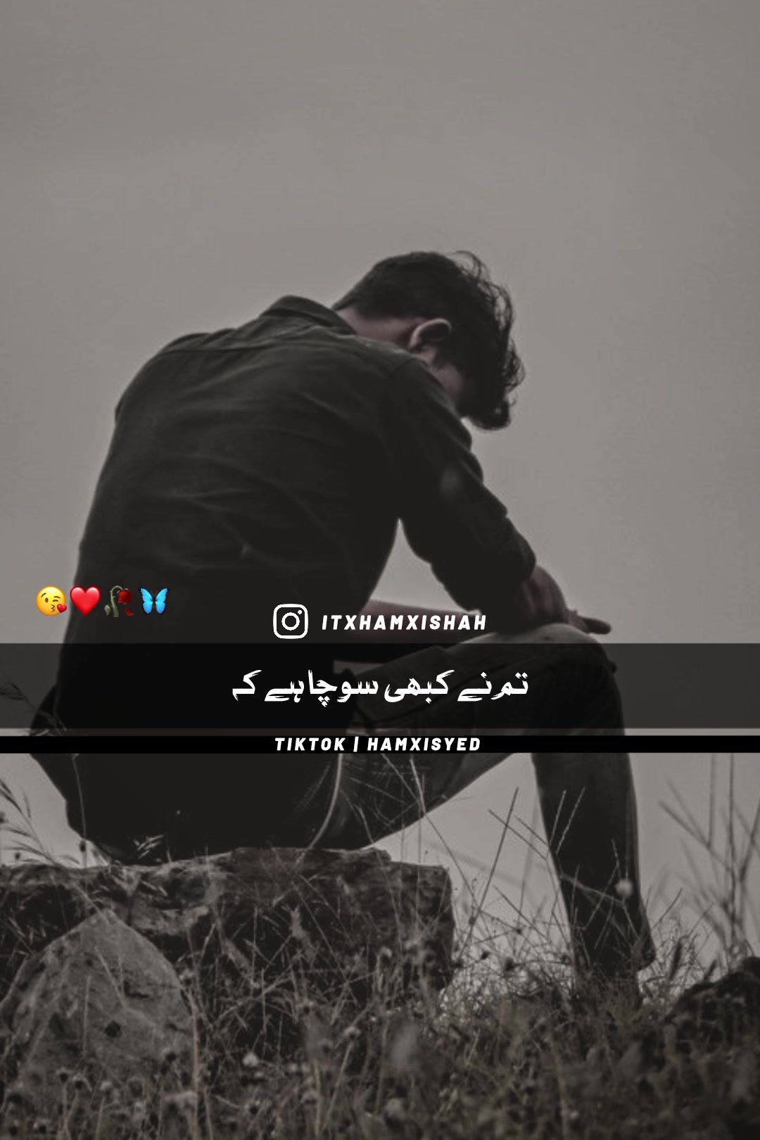 @hamxisyed