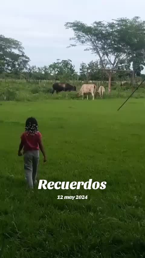 @RAUL ACOSTA