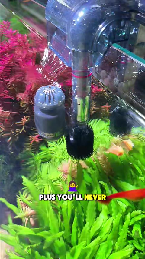 @AQQA Aquarium Store