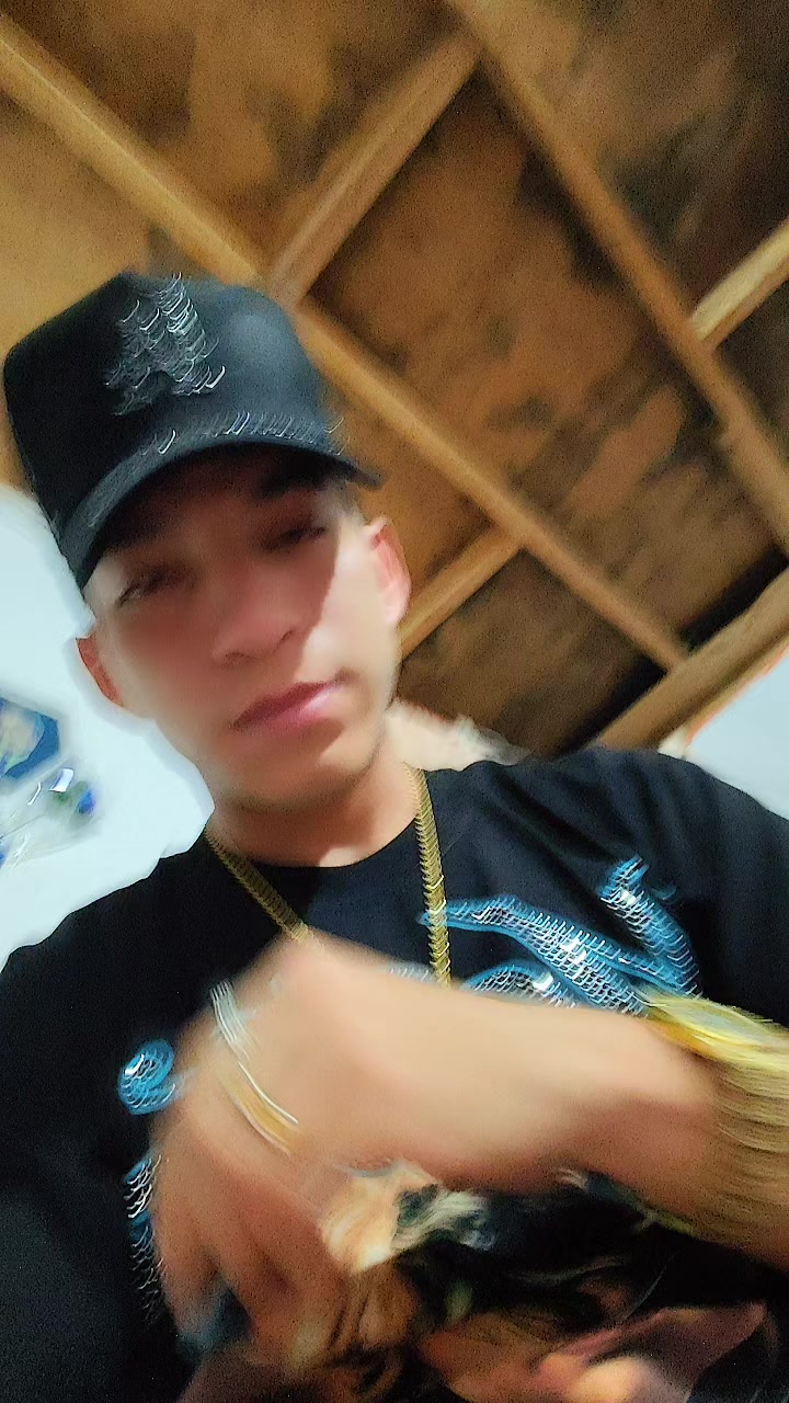 @Bruno Vasquez
