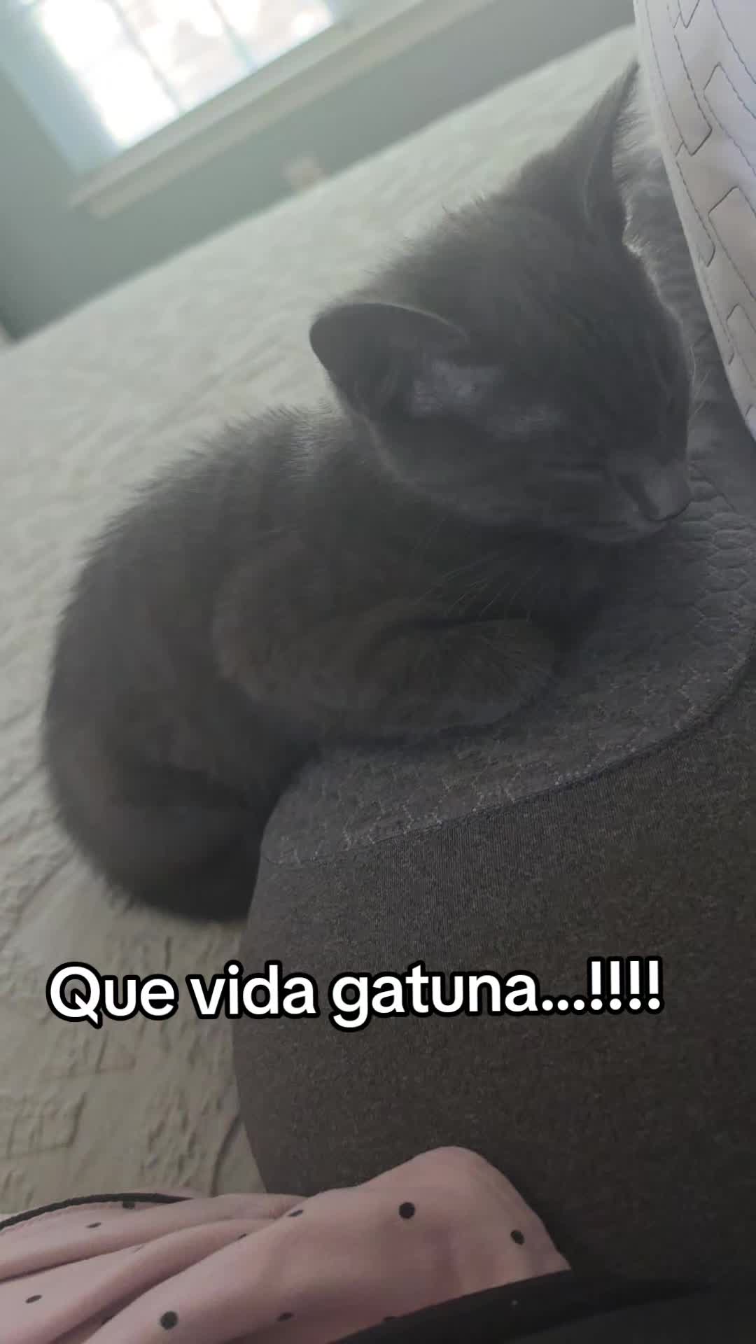 @Lili Emprende