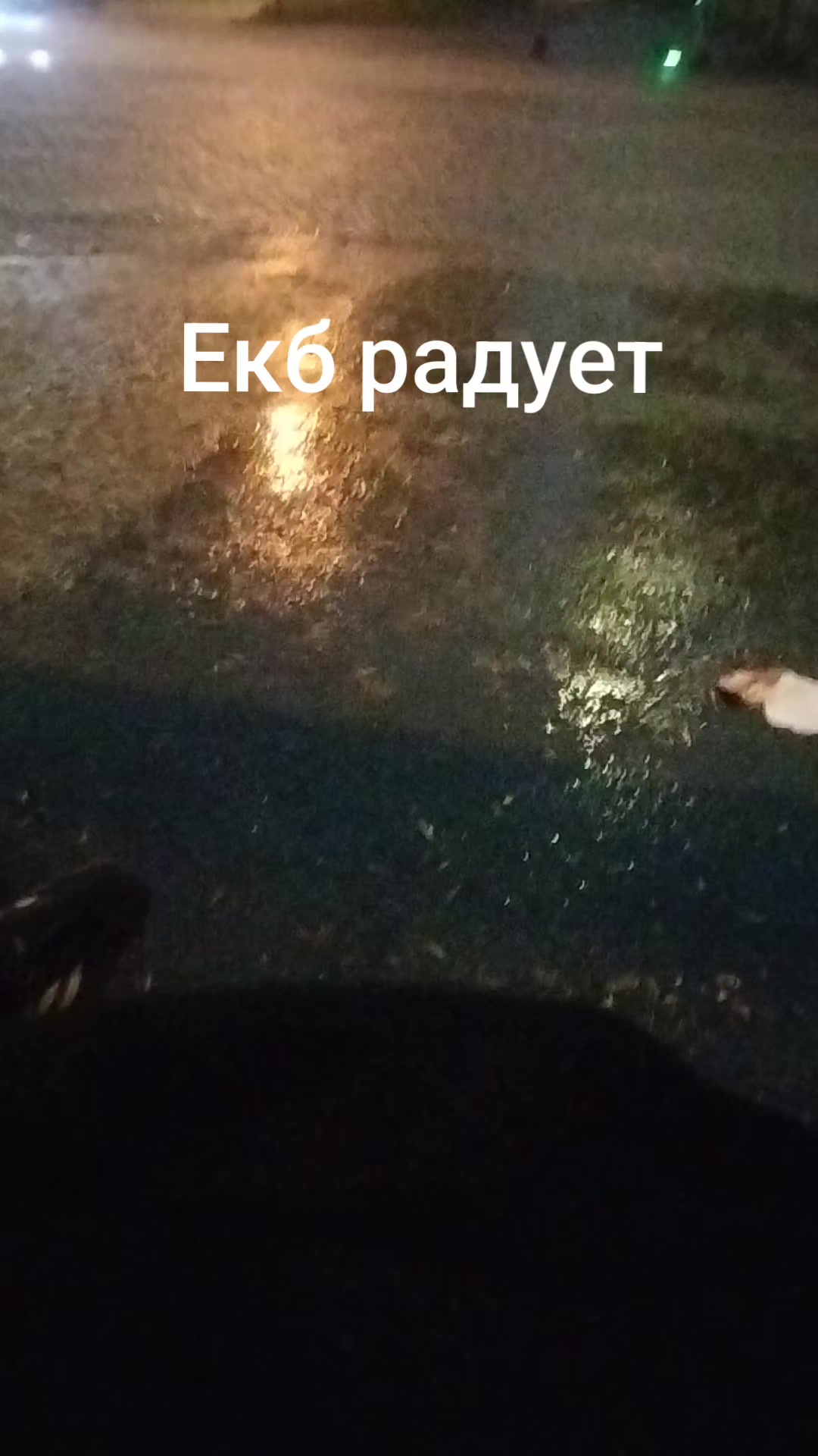 @shilux1