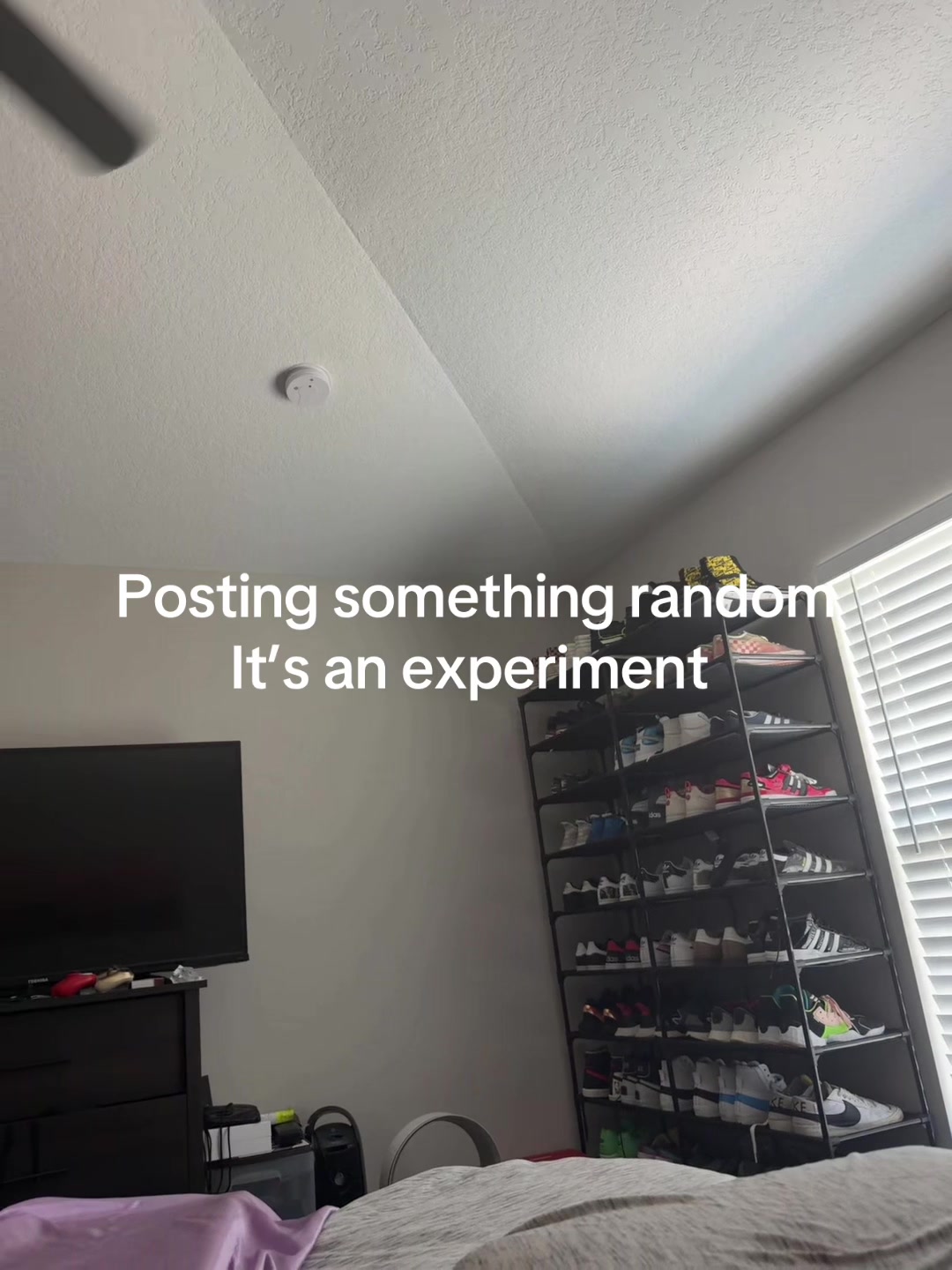@TeslaTheCreator.FL HairStylist