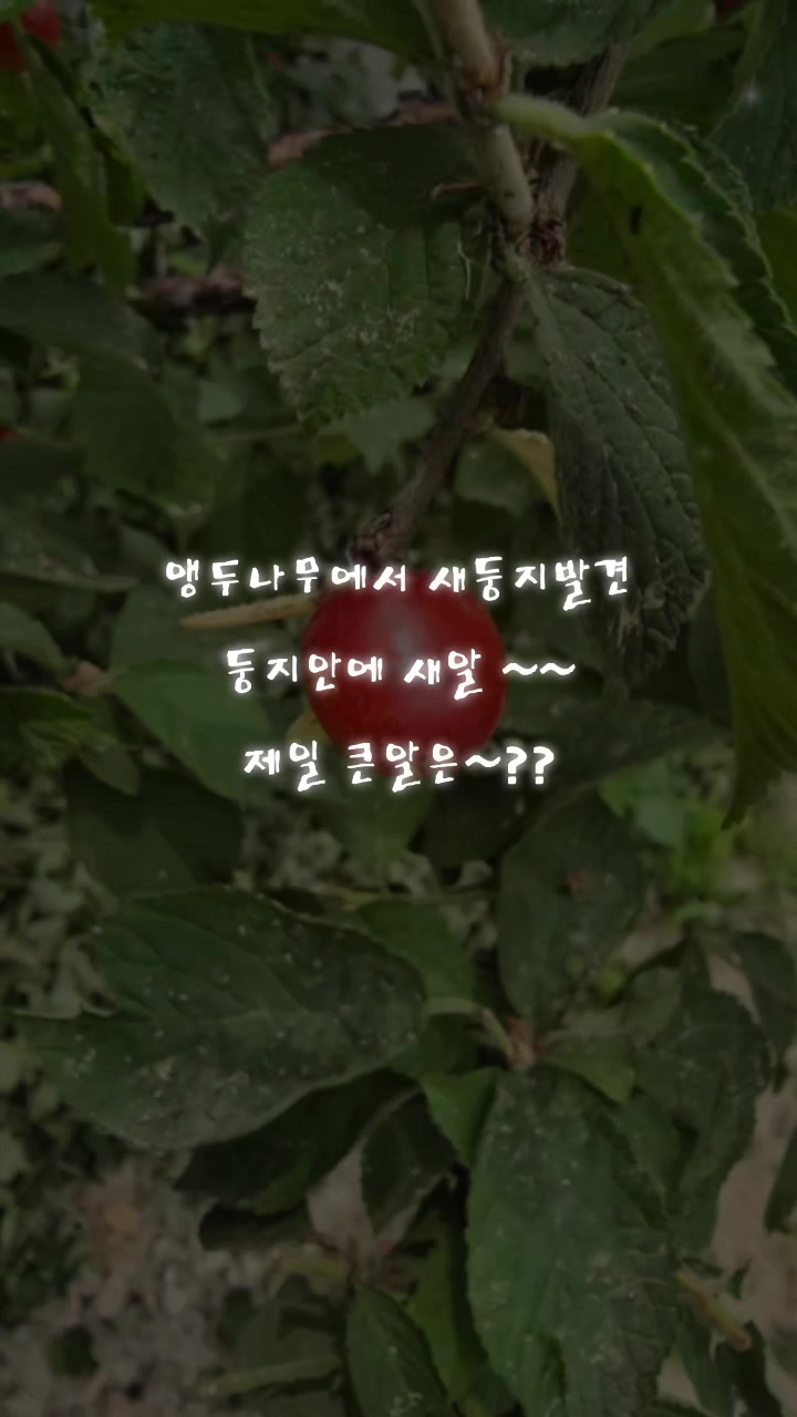 @행복