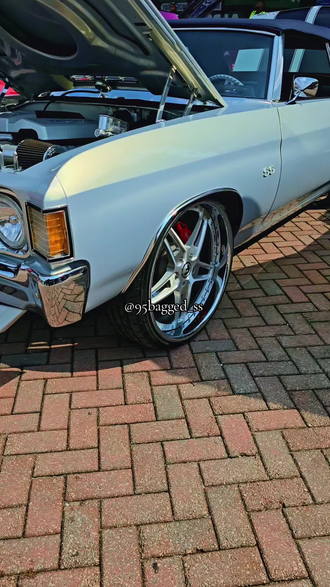 @95bagged_ss
