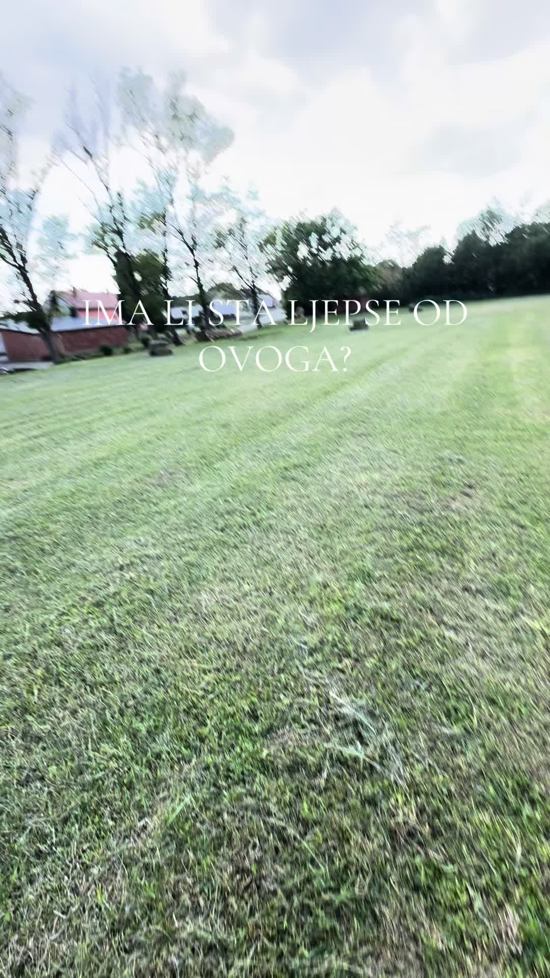 @558