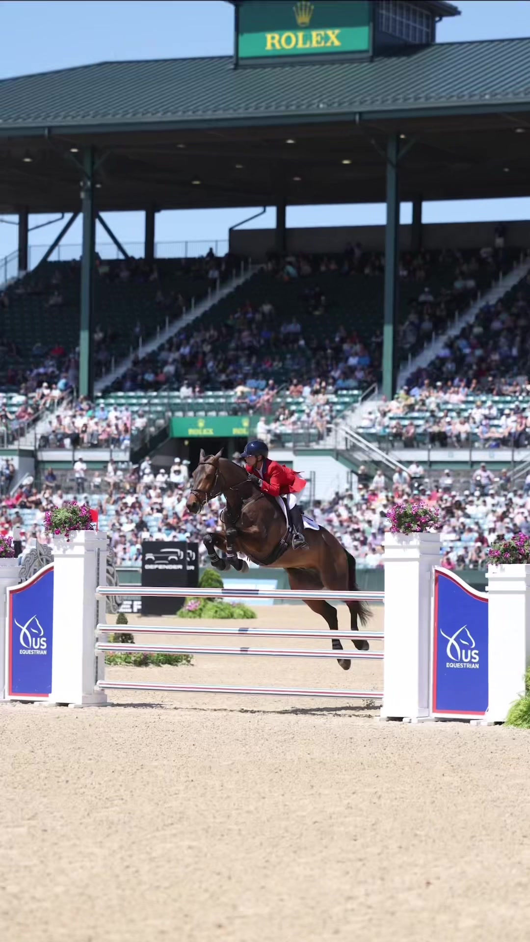 @Stacy | Equine Photography